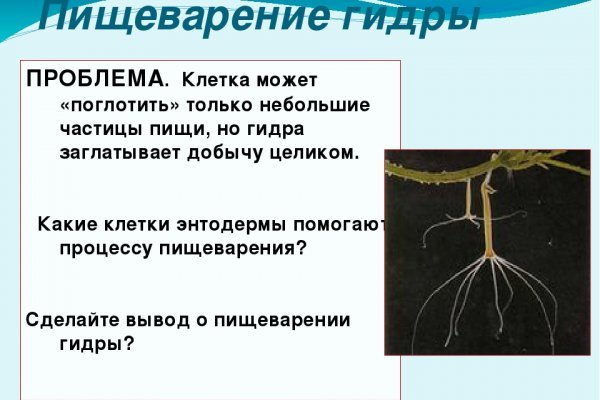 Не заходит на кракен