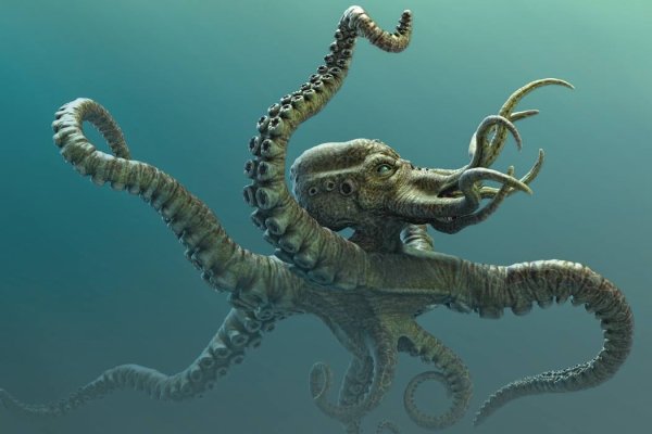 Kraken ltd